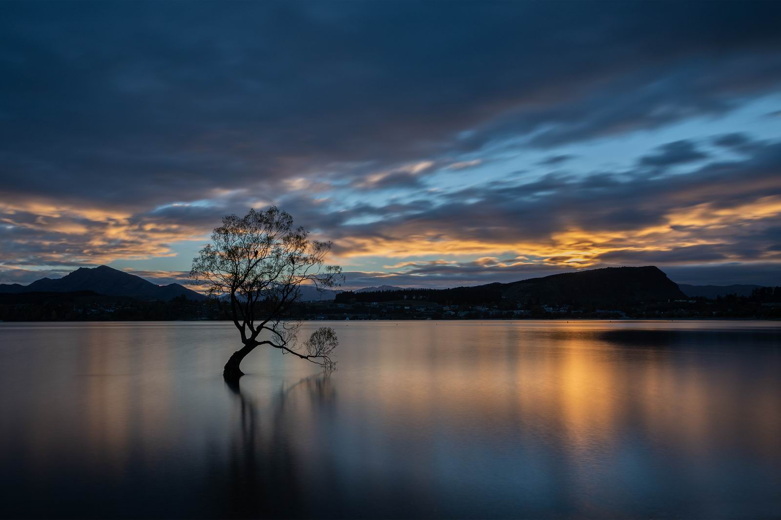 064-Lonely Tree.jpg