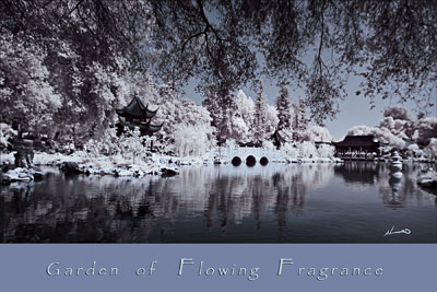 Post-card By Dr Shum: Garden of Flowing Fragrance in Infra-red
